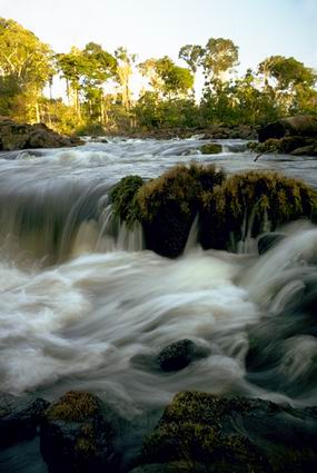 amaz02_011
